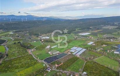 Seferihisar Düzce’de Azmak koyuna yakın Satılık Arazi 8377 m