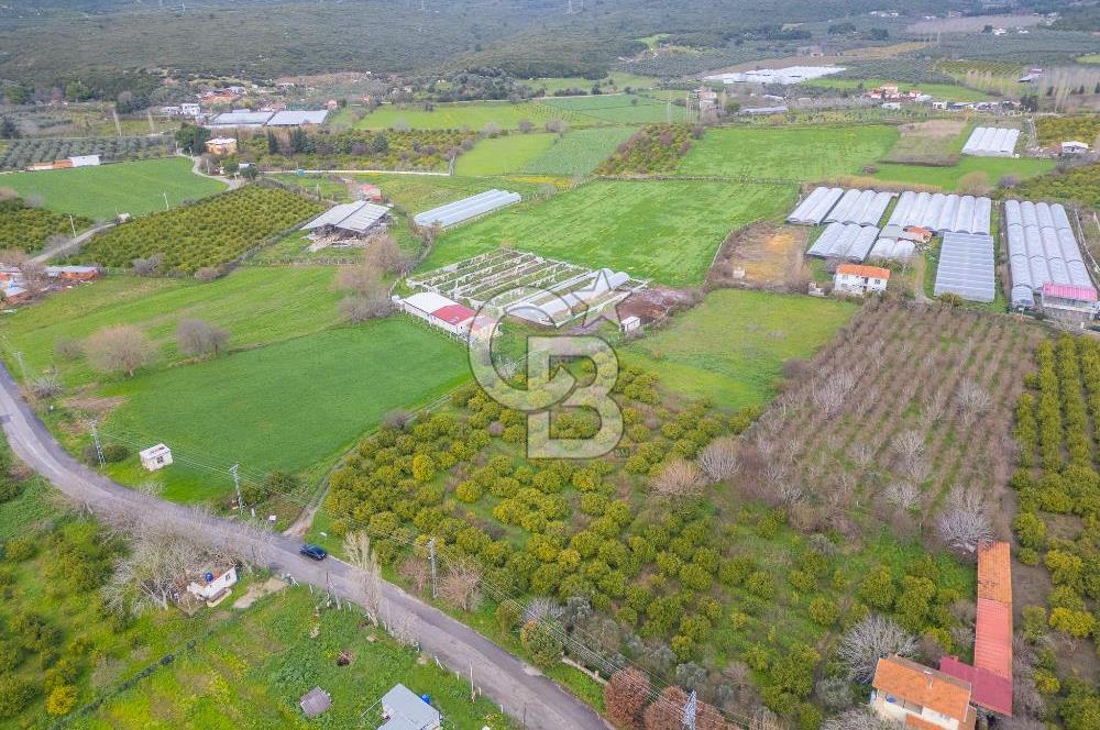 Seferihisar Düzce’de Azmak koyuna yakın Satılık Arazi 8377 m