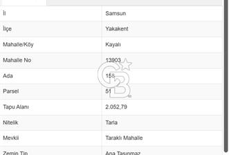 SAMSUN YAKAKENT KAYALI MAH. SATILIK TARLA - 1 - 336129