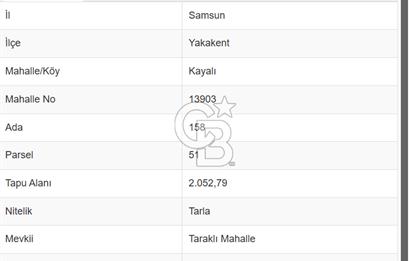 SAMSUN YAKAKENT KAYALI MAH. SATILIK TARLA