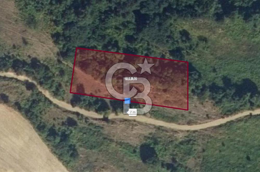 SAMSUN YAKAKENT KAYALI MAH. SATILIK TARLA