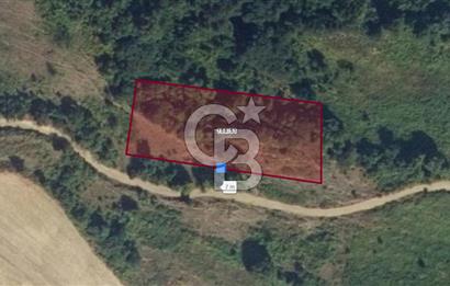 SAMSUN YAKAKENT KAYALI MAH. SATILIK TARLA