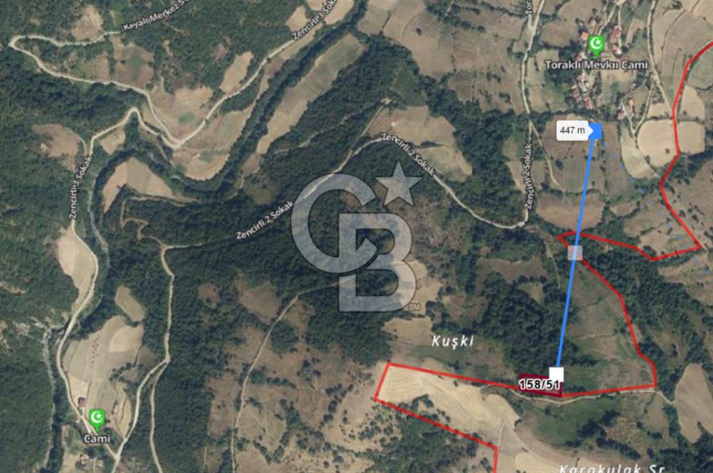 SAMSUN YAKAKENT KAYALI MAH. SATILIK TARLA