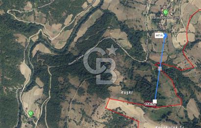 SAMSUN YAKAKENT KAYALI MAH. SATILIK TARLA