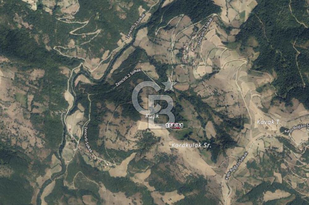 SAMSUN YAKAKENT KAYALI MAH. SATILIK TARLA