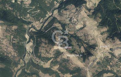 SAMSUN YAKAKENT KAYALI MAH. SATILIK TARLA