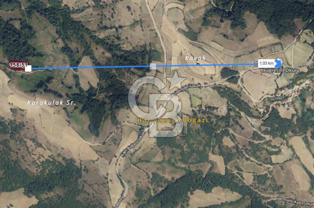 SAMSUN YAKAKENT KAYALI MAH. SATILIK TARLA