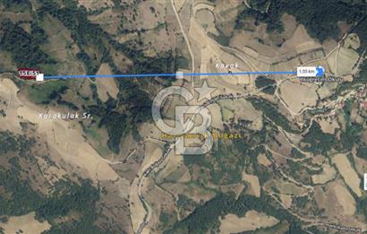 SAMSUN YAKAKENT KAYALI MAH. SATILIK TARLA