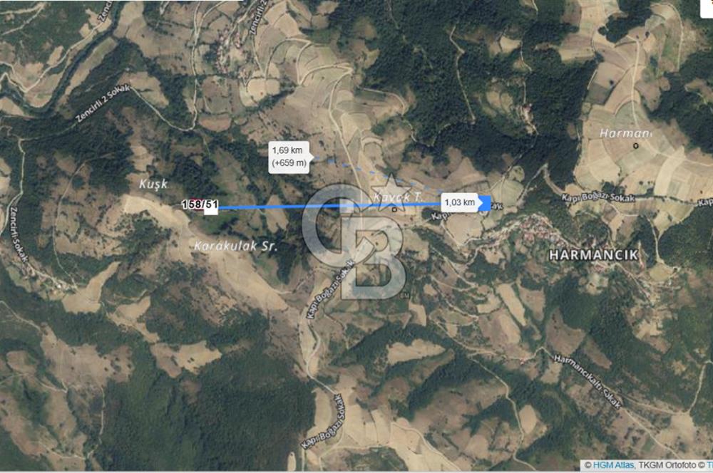 SAMSUN YAKAKENT KAYALI MAH. SATILIK TARLA