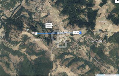 SAMSUN YAKAKENT KAYALI MAH. SATILIK TARLA