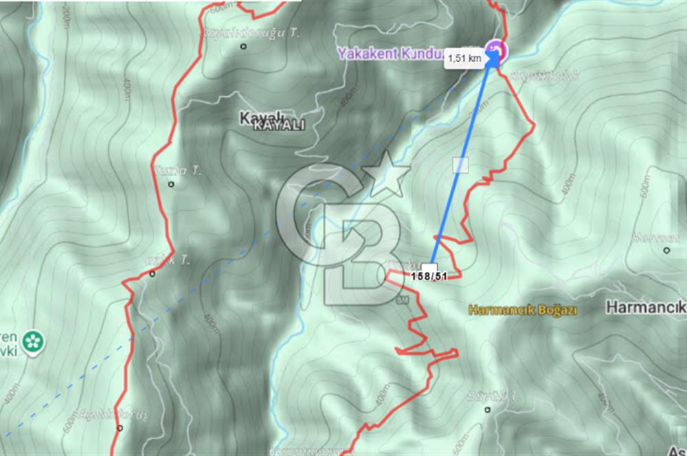 SAMSUN YAKAKENT KAYALI MAH. SATILIK TARLA