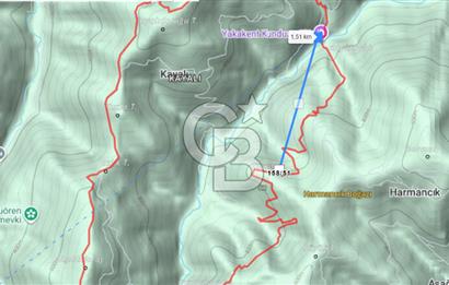 SAMSUN YAKAKENT KAYALI MAH. SATILIK TARLA