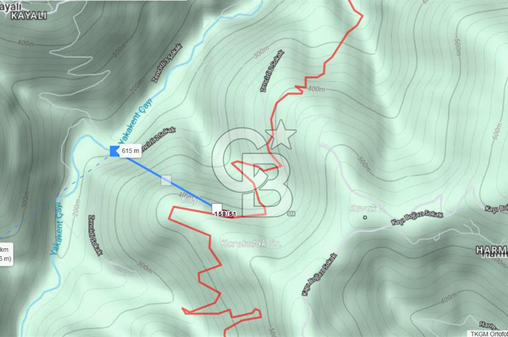 SAMSUN YAKAKENT KAYALI MAH. SATILIK TARLA
