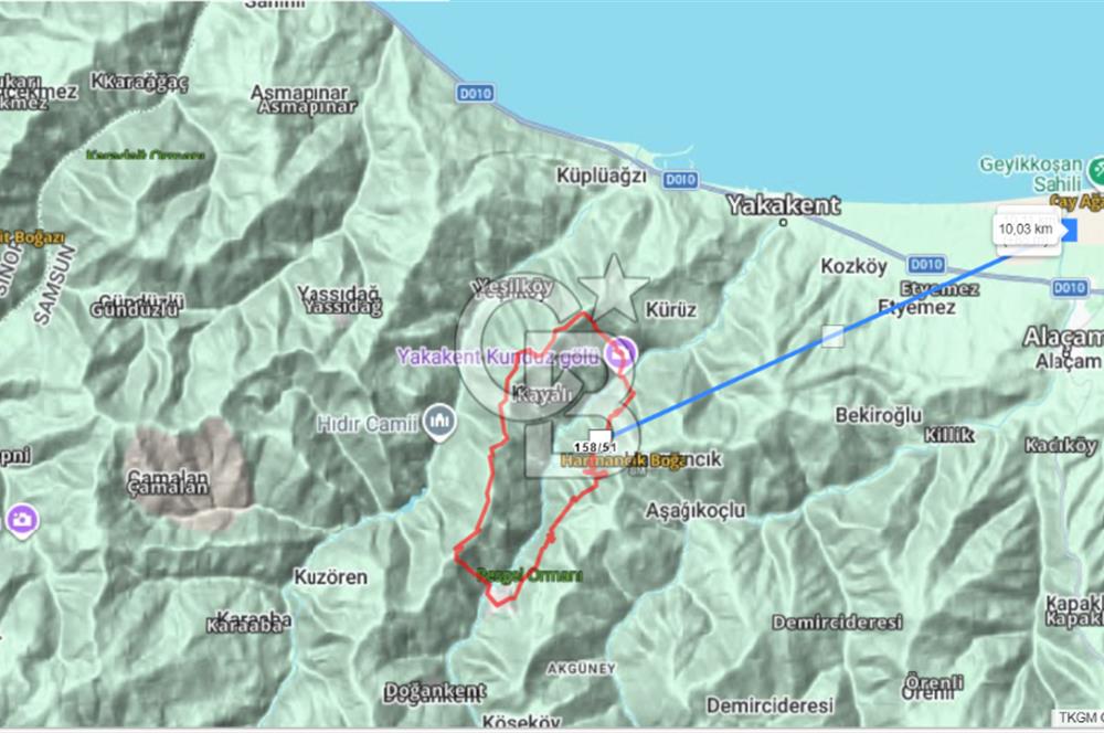 SAMSUN YAKAKENT KAYALI MAH. SATILIK TARLA