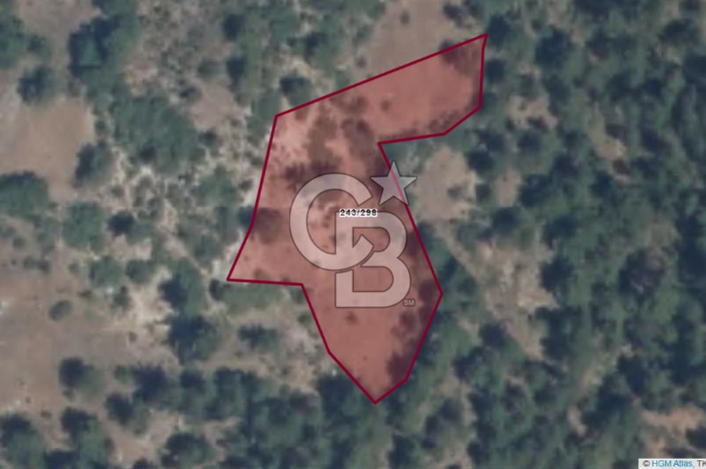 BALIKESİR DURSUNBEY AŞAĞIYAĞCILAR SATILIK TARLA