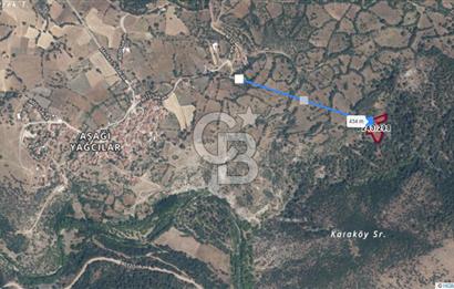 BALIKESİR DURSUNBEY AŞAĞIYAĞCILAR SATILIK TARLA