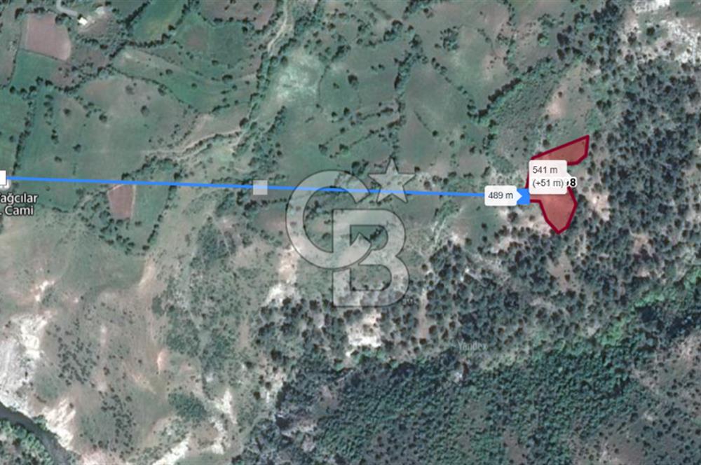 BALIKESİR DURSUNBEY AŞAĞIYAĞCILAR SATILIK TARLA