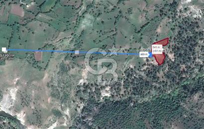 BALIKESİR DURSUNBEY AŞAĞIYAĞCILAR SATILIK TARLA