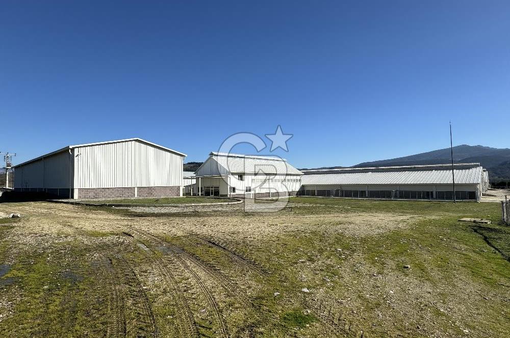 MANİSA DEMİRCİ'DE BÜYÜK ÖLÇEKLİ DAMIZLIK KOYUN-KEÇİ ÇİFTLİĞİ