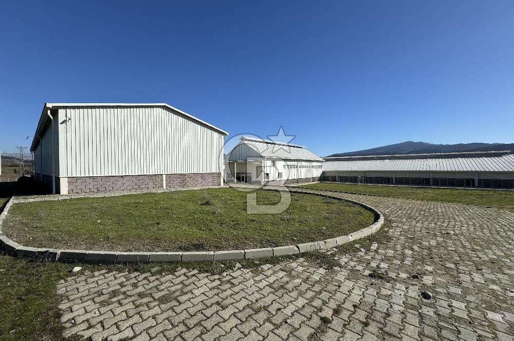 MANİSA DEMİRCİ'DE BÜYÜK ÖLÇEKLİ DAMIZLIK KOYUN-KEÇİ ÇİFTLİĞİ