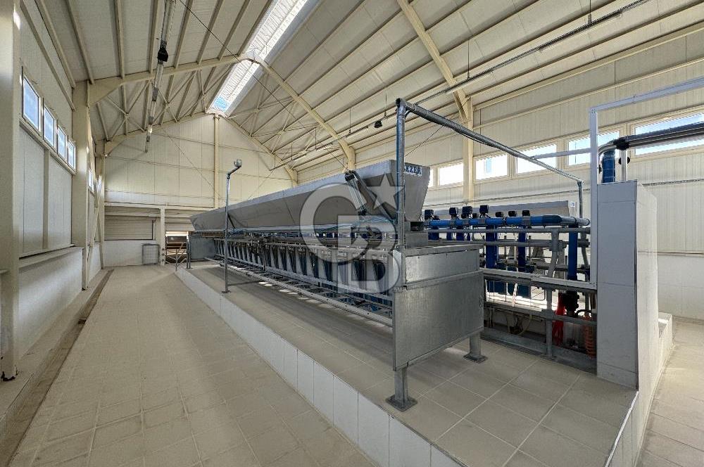 MANİSA DEMİRCİ'DE BÜYÜK ÖLÇEKLİ DAMIZLIK KOYUN-KEÇİ ÇİFTLİĞİ