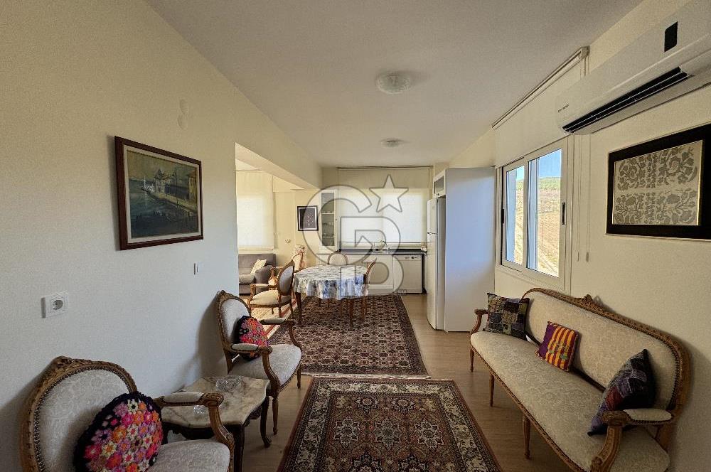 MANİSA DEMİRCİ'DE BÜYÜK ÖLÇEKLİ DAMIZLIK KOYUN-KEÇİ ÇİFTLİĞİ