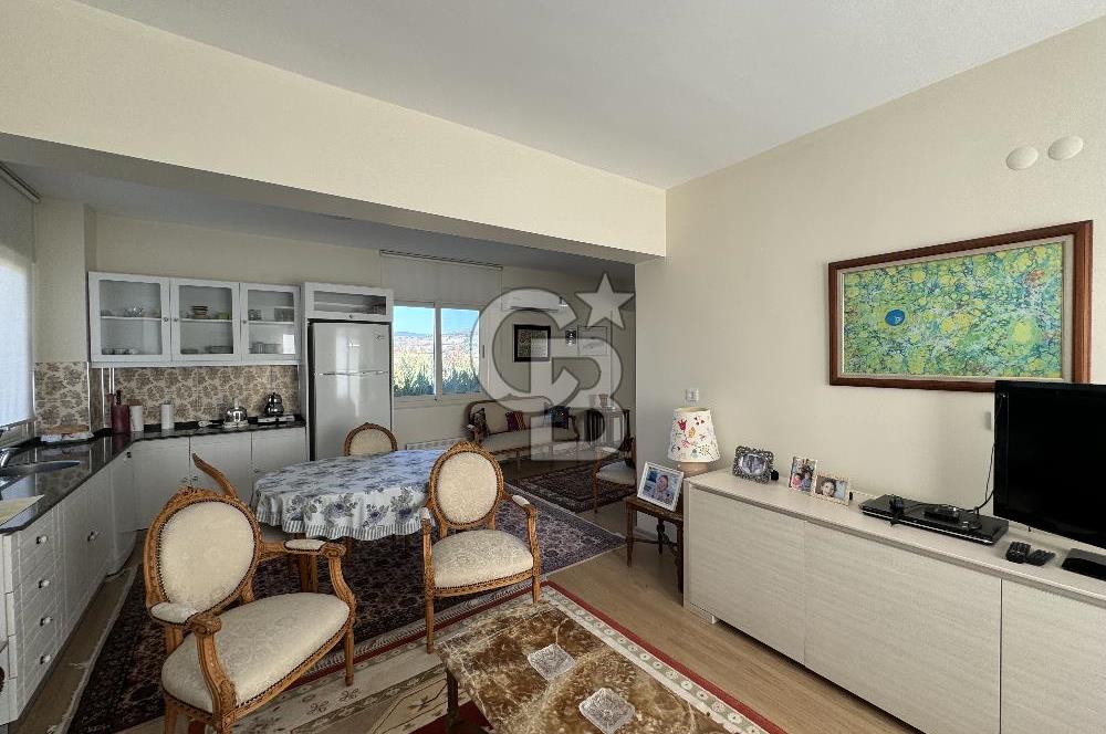 MANİSA DEMİRCİ'DE BÜYÜK ÖLÇEKLİ DAMIZLIK KOYUN-KEÇİ ÇİFTLİĞİ