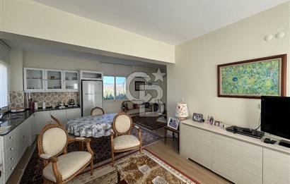 MANİSA DEMİRCİ'DE BÜYÜK ÖLÇEKLİ DAMIZLIK KOYUN-KEÇİ ÇİFTLİĞİ