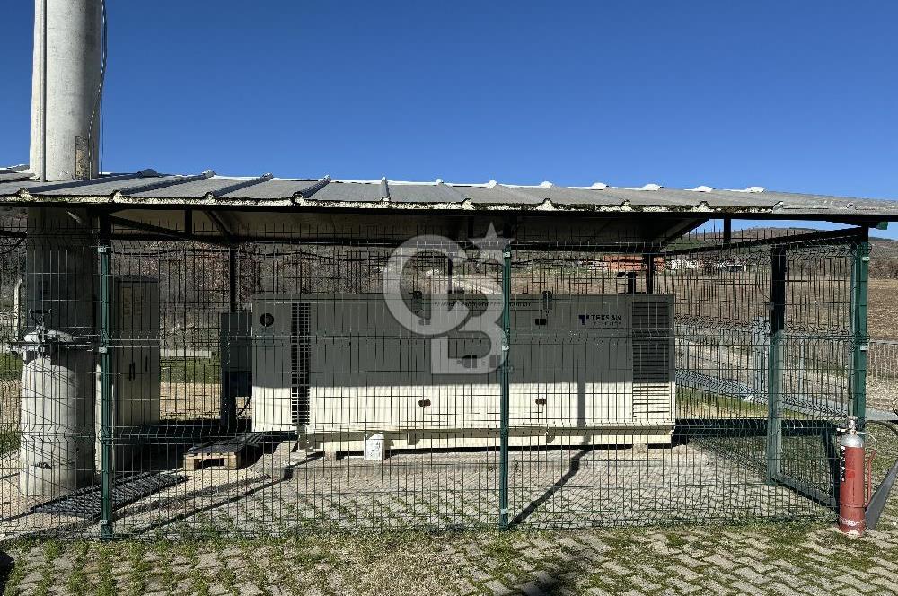 MANİSA DEMİRCİ'DE BÜYÜK ÖLÇEKLİ DAMIZLIK KOYUN-KEÇİ ÇİFTLİĞİ