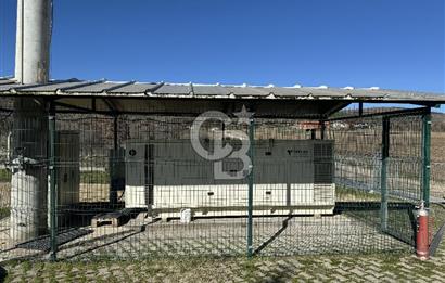 MANİSA DEMİRCİ'DE BÜYÜK ÖLÇEKLİ DAMIZLIK KOYUN-KEÇİ ÇİFTLİĞİ