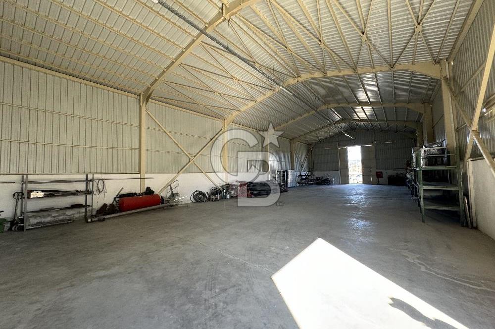 MANİSA DEMİRCİ'DE BÜYÜK ÖLÇEKLİ DAMIZLIK KOYUN-KEÇİ ÇİFTLİĞİ