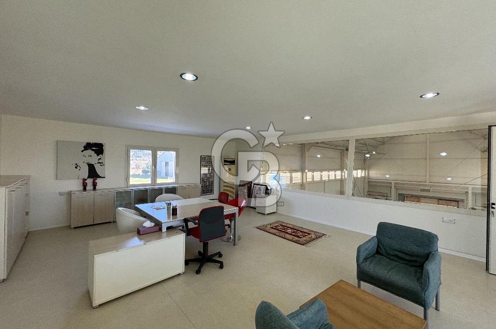 MANİSA DEMİRCİ'DE BÜYÜK ÖLÇEKLİ DAMIZLIK KOYUN-KEÇİ ÇİFTLİĞİ