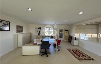 MANİSA DEMİRCİ'DE BÜYÜK ÖLÇEKLİ DAMIZLIK KOYUN-KEÇİ ÇİFTLİĞİ