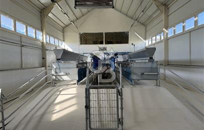 MANİSA DEMİRCİ'DE BÜYÜK ÖLÇEKLİ DAMIZLIK KOYUN-KEÇİ ÇİFTLİĞİ