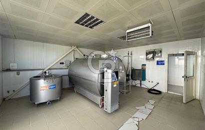 MANİSA DEMİRCİ'DE BÜYÜK ÖLÇEKLİ DAMIZLIK KOYUN-KEÇİ ÇİFTLİĞİ