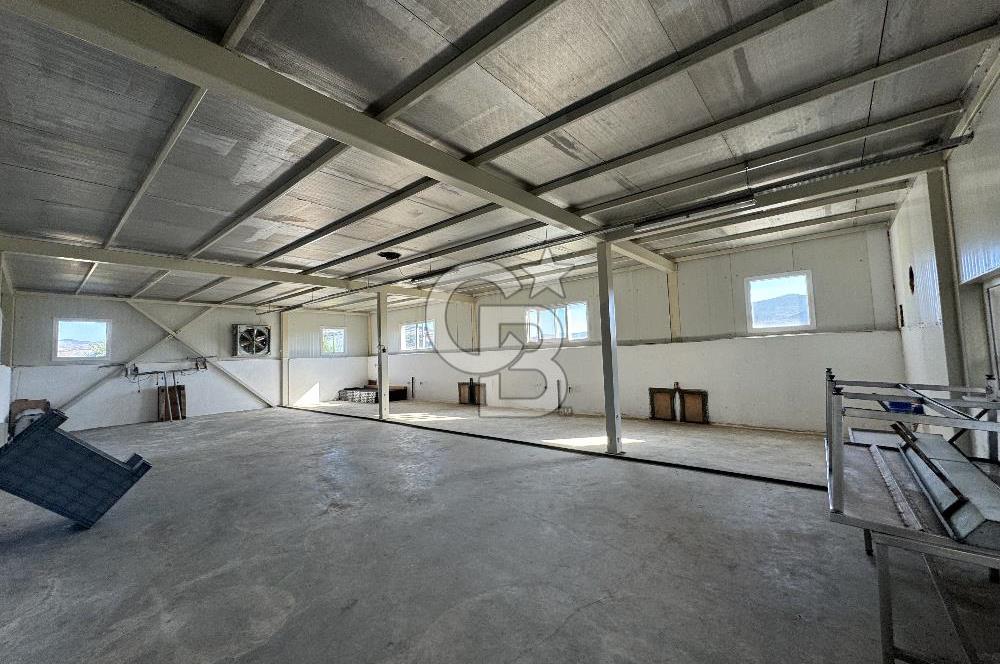 MANİSA DEMİRCİ'DE BÜYÜK ÖLÇEKLİ DAMIZLIK KOYUN-KEÇİ ÇİFTLİĞİ