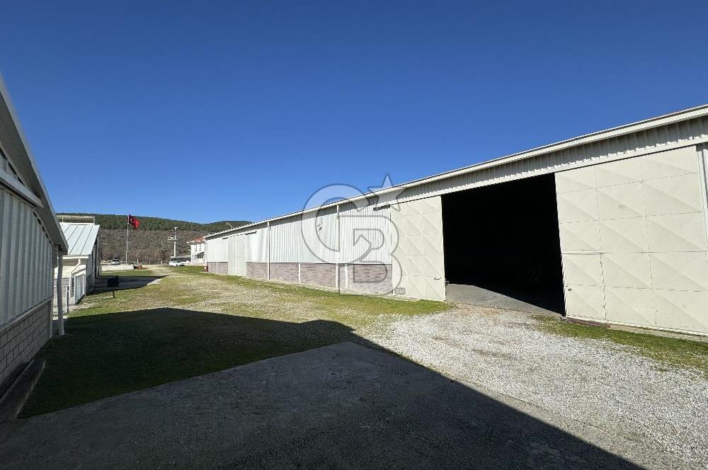 MANİSA DEMİRCİ'DE BÜYÜK ÖLÇEKLİ DAMIZLIK KOYUN-KEÇİ ÇİFTLİĞİ