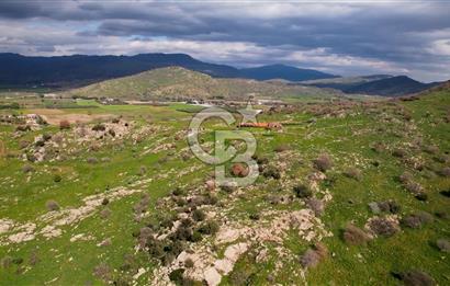 DİKİLİ'DE DENİZ MANZARALI SATILIK İKİZ VİLLA ARSASI 