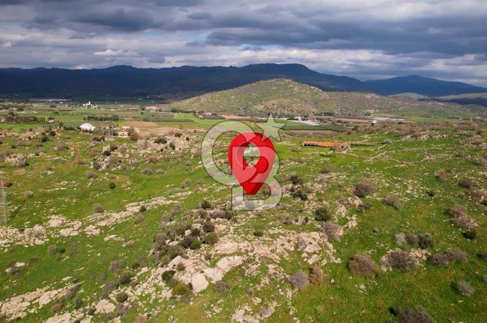 DİKİLİ'DE DENİZ MANZARALI SATILIK İKİZ VİLLA ARSASI 