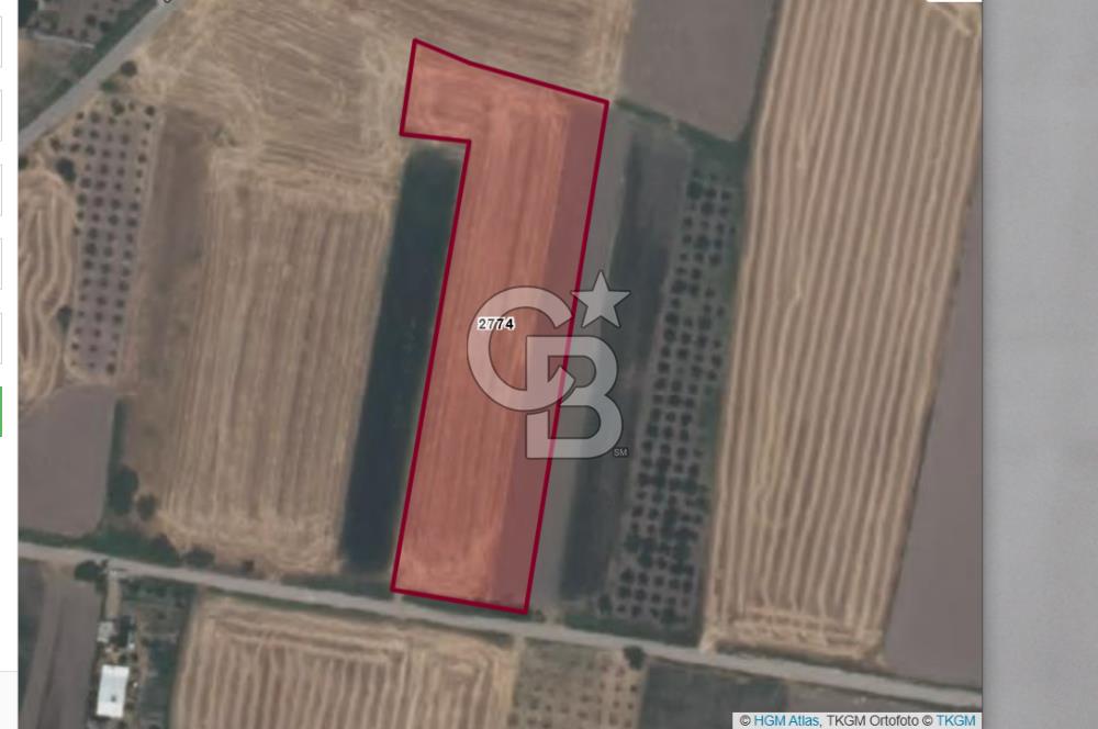İZMİR MENEMEN TÜRKELLİDE 5200 M2 SATILIK TARLA