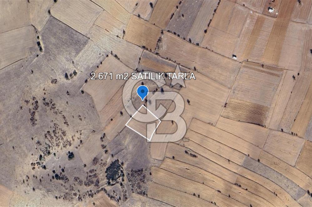 korkuteli bozova da satılık  tarla 