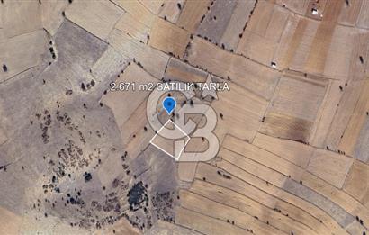 korkuteli bozova da satılık  tarla 