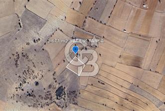 korkuteli bozova da satılık  tarla  - 1 - 336454