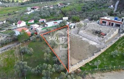 BUCA KIRKLAR'DA TEK TAPU 540 m2 FIRSAT TARLA
