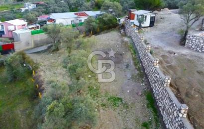 BUCA KIRKLAR'DA TEK TAPU 540 m2 FIRSAT TARLA