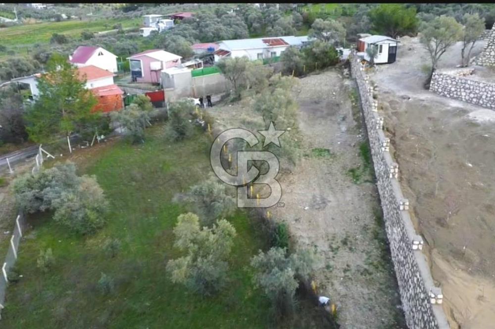 BUCA KIRKLAR'DA TEK TAPU 540 m2 FIRSAT TARLA