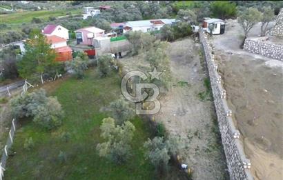 BUCA KIRKLAR'DA TEK TAPU 540 m2 FIRSAT TARLA