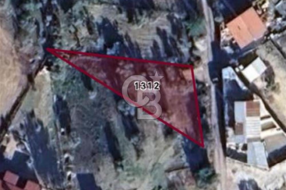 BUCA KIRKLAR'DA TEK TAPU 540 m2 FIRSAT TARLA