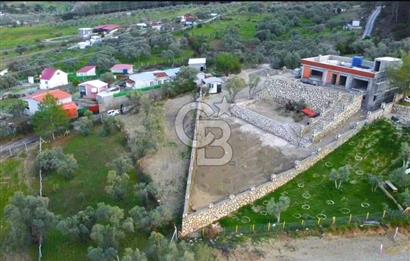 BUCA KIRKLAR'DA TEK TAPU 540 m2 FIRSAT TARLA