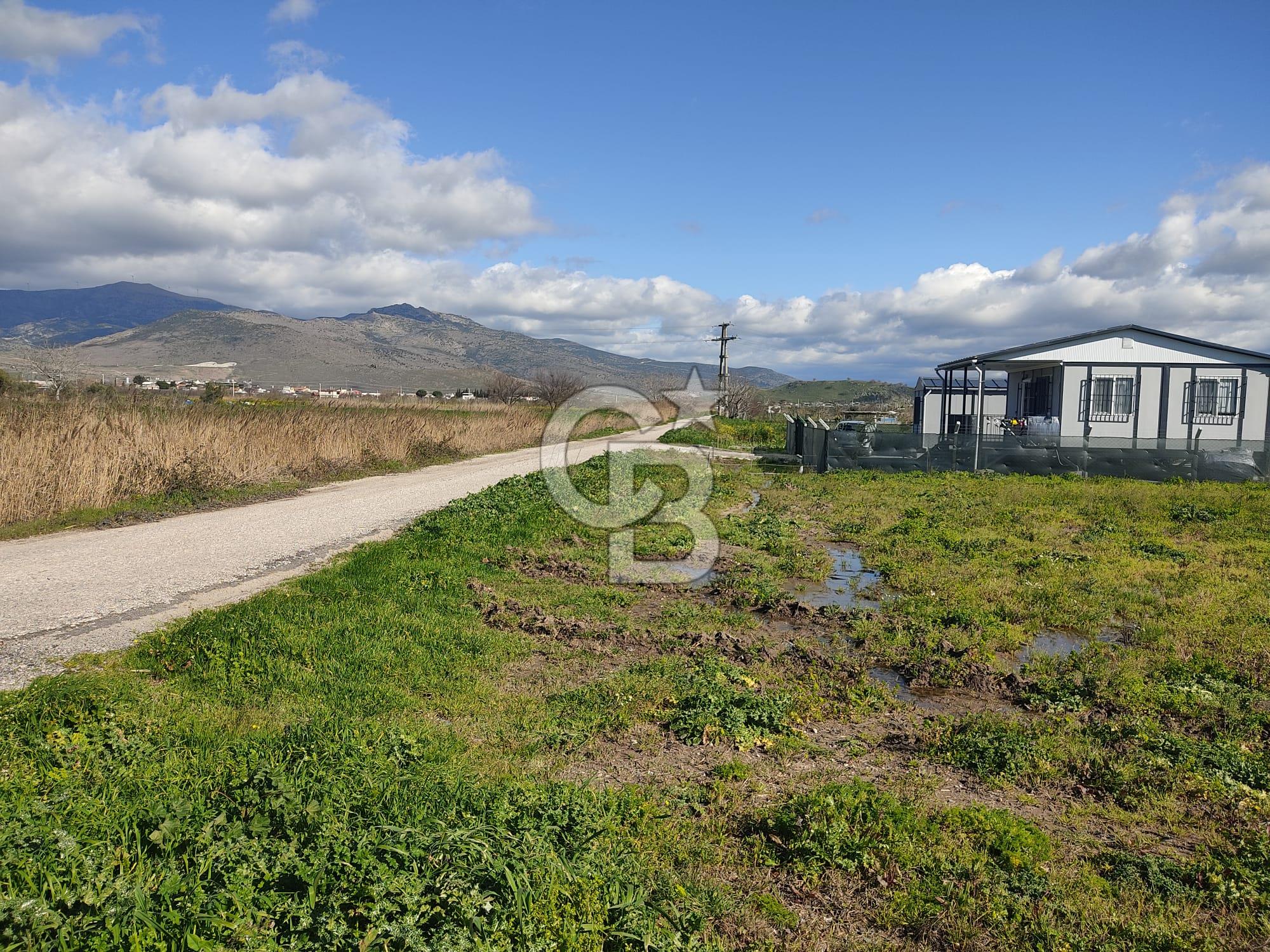 İZMİR MENEMEN TÜRKELLİDE 5200 M2 SATILIK TARLA